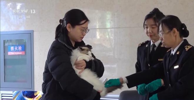 z6尊龙·凯时：“线上申报+线下健康检查”方便宠物出境海关新业务试点应用(图3)