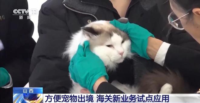 z6尊龙·凯时：“线上申报+线下健康检查”方便宠物出境海关新业务试点应用(图4)