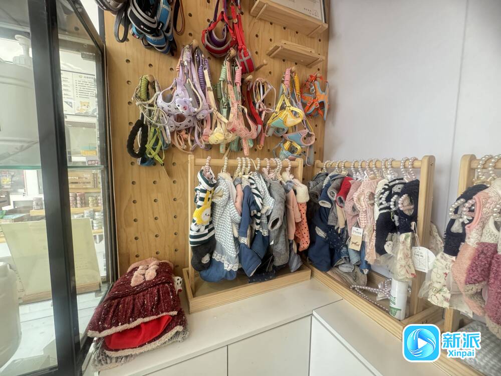 消费新图景“它经济”升温市民乐为萌宠买单(图3)