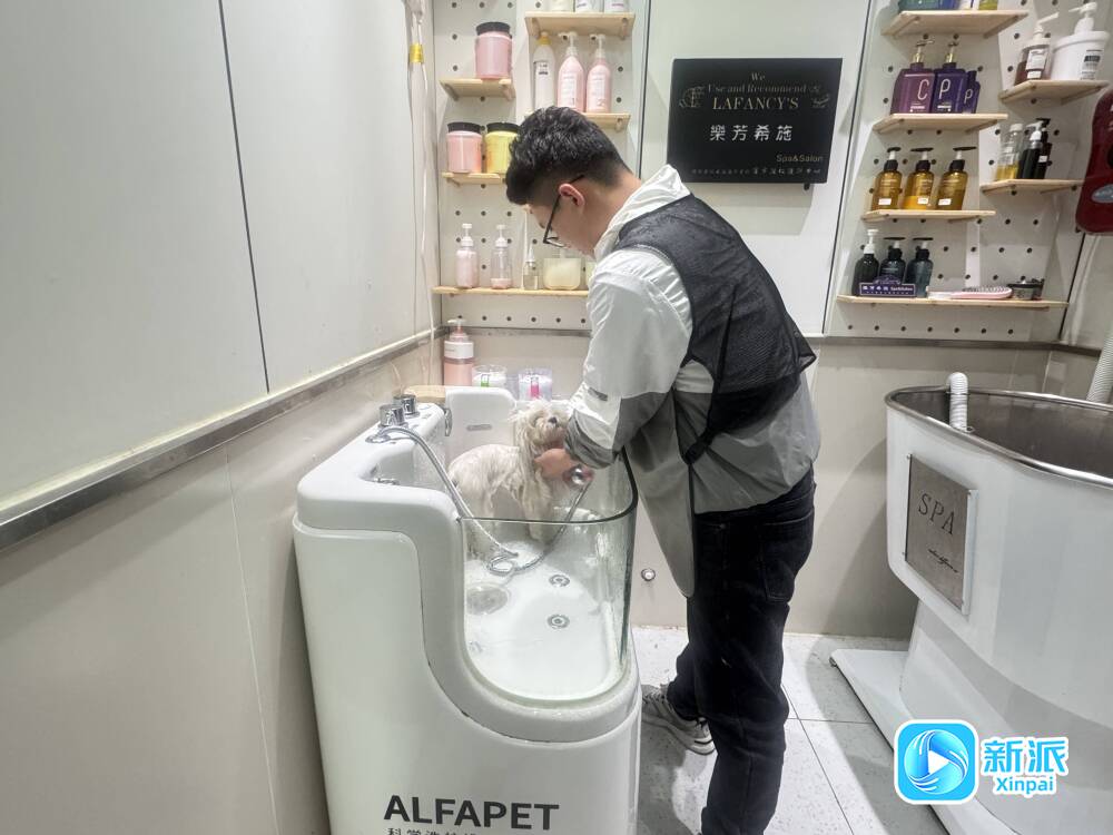 消费新图景“它经济”升温市民乐为萌宠买单(图4)