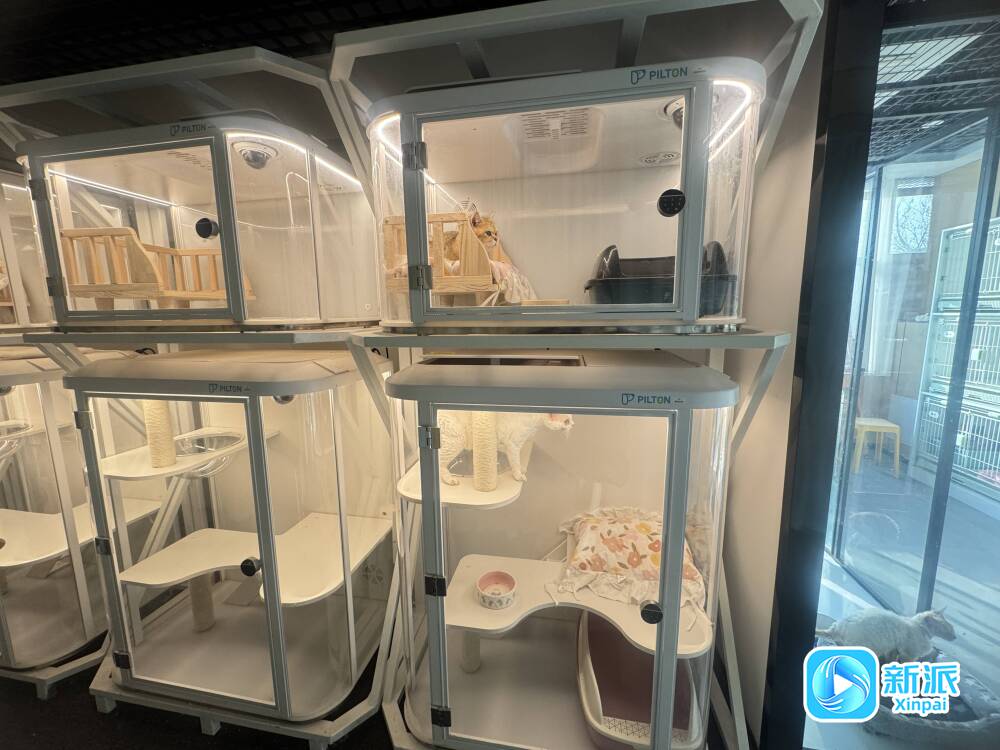 消费新图景“它经济”升温市民乐为萌宠买单(图5)