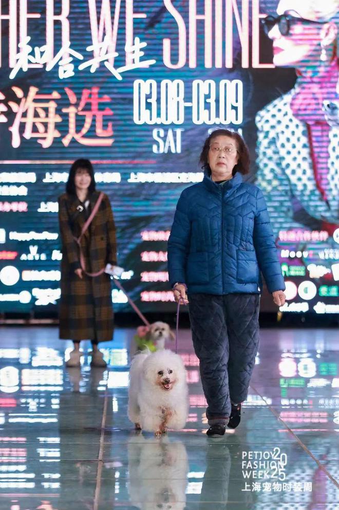 围观！最时髦的“毛孩子”一场宠物时尚盛宴将在月底开启→(图4)