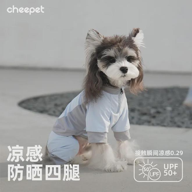 人生就是博：直播间里的萌宠消费：户外机能装与老年犬粮的市场奇遇(图7)