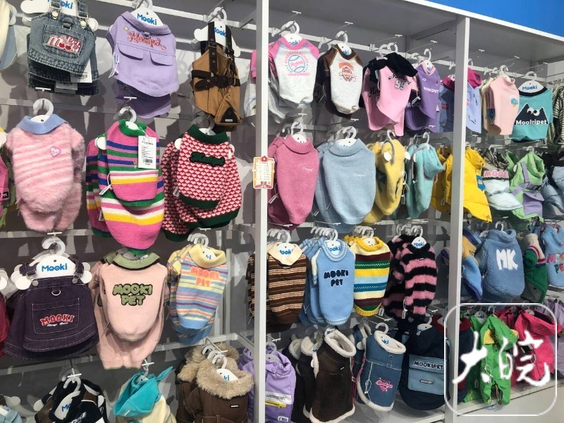 合肥“萌宠经济”升温：宠物取暖物品热销春节寄养要提前预约(图1)