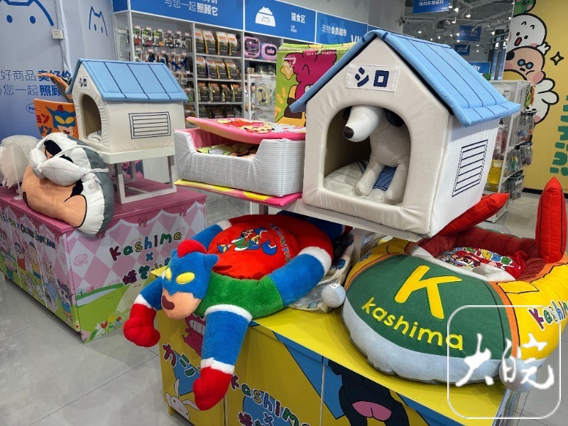 合肥“萌宠经济”升温：宠物取暖物品热销春节寄养要提前预约(图2)