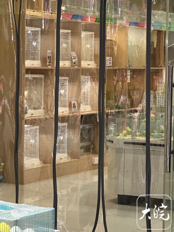 合肥“萌宠经济”升温：宠物取暖物品热销春节寄养要提前预约(图3)