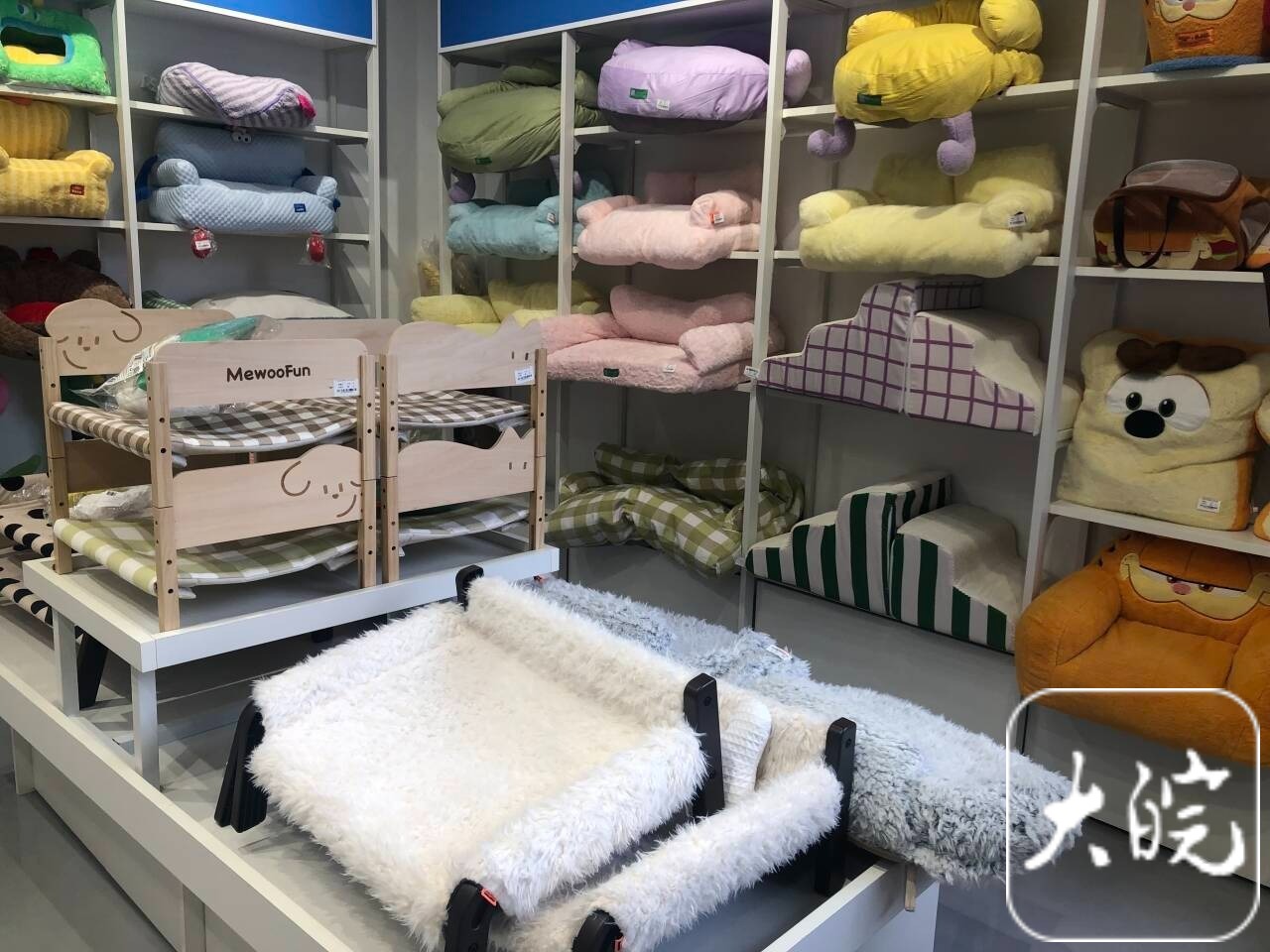 合肥“萌宠经济”升温：宠物取暖物品热销春节寄养要提前预约(图4)
