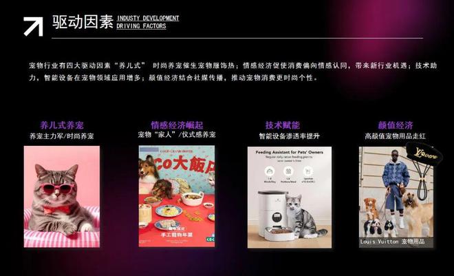 POP趋势×上海宠物时装周《2025年宠物时尚趋势白皮书》盛大发布(图4)