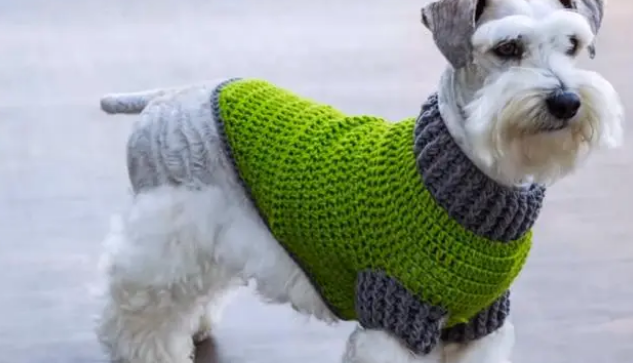 人生就是博：家中宠物的衣服完全可以自己搞定宠物衣服编织教程来了(图1)