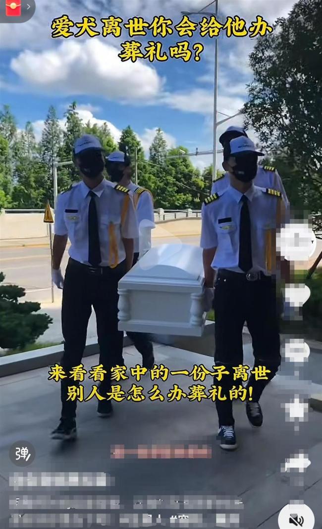 宠物豪华送别仪式要价9880元宠物殡葬市场兴起(图2)