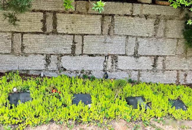 宠物豪华送别仪式要价9880元宠物殡葬市场兴起(图4)