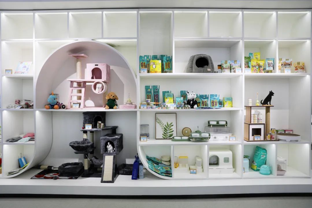 z6尊龙·凯时：从“宠物友好”到“产业聚能”宿迁宿豫打造“宠物经济”新样本(图1)