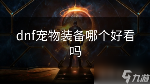 dnf宠物装备哪个好看吗(图1)