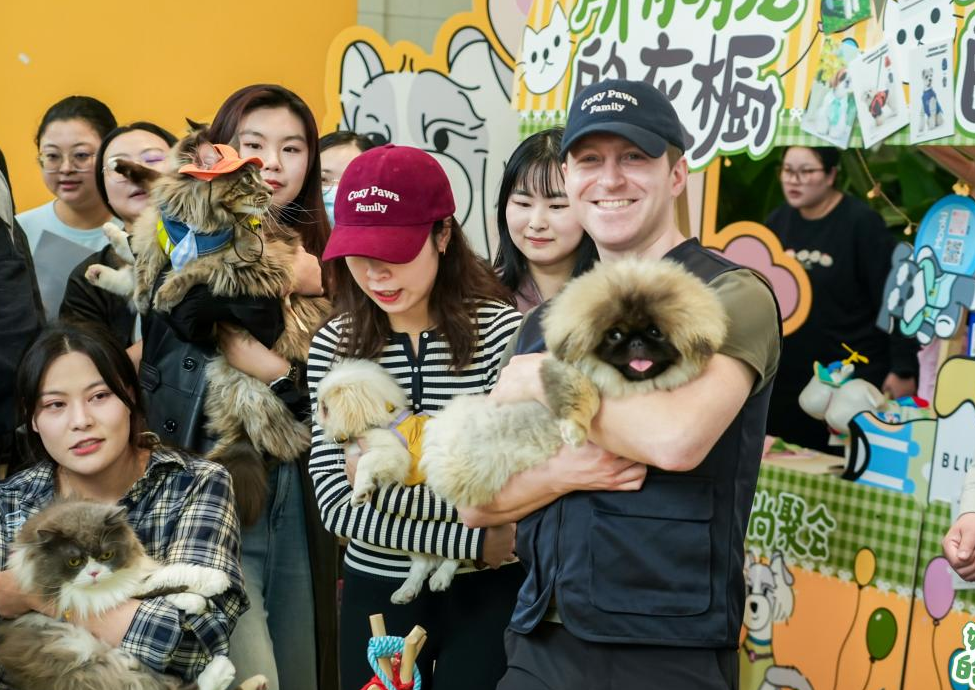 尊龙凯时网站：美腕打造宠物友好直播间：从选品策略传递科学养宠理念(图3)