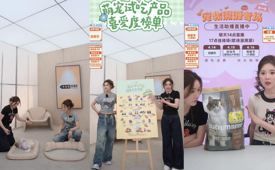 尊龙凯时网站：美腕打造宠物友好直播间：从选品策略传递科学养宠理念(图7)
