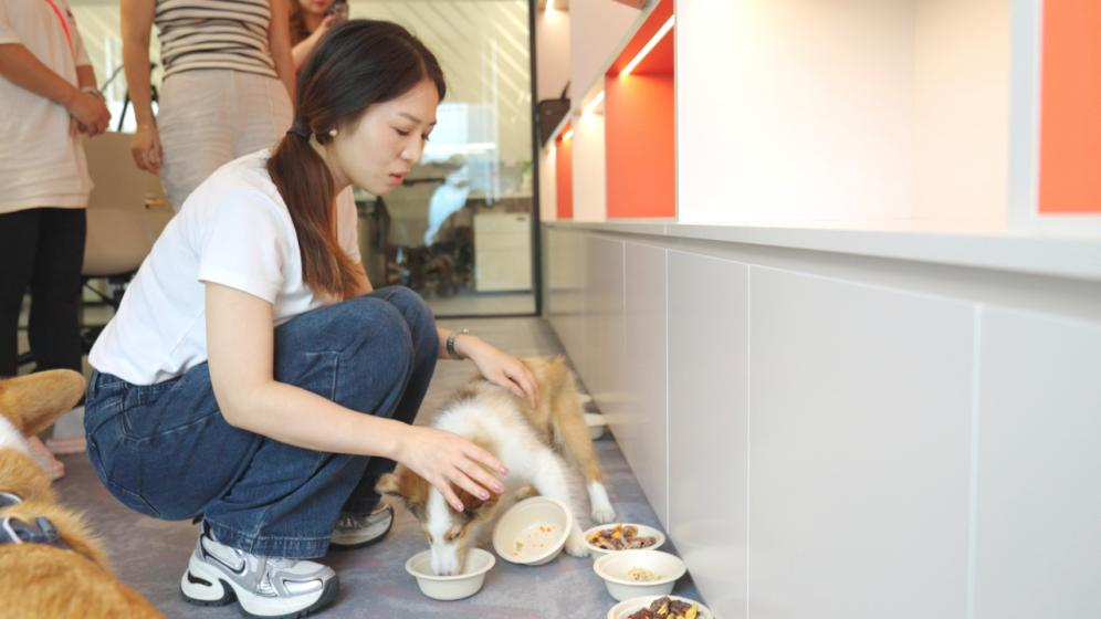 尊龙凯时网站：美腕打造宠物友好直播间：从选品策略传递科学养宠理念(图6)