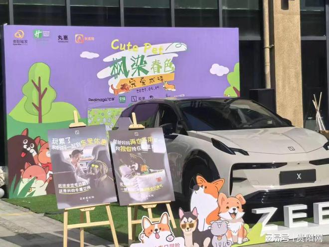 z6尊龙·凯时：爽贵阳春日狂欢：非遗手工艺与萌宠时尚的梦幻碰撞(图5)