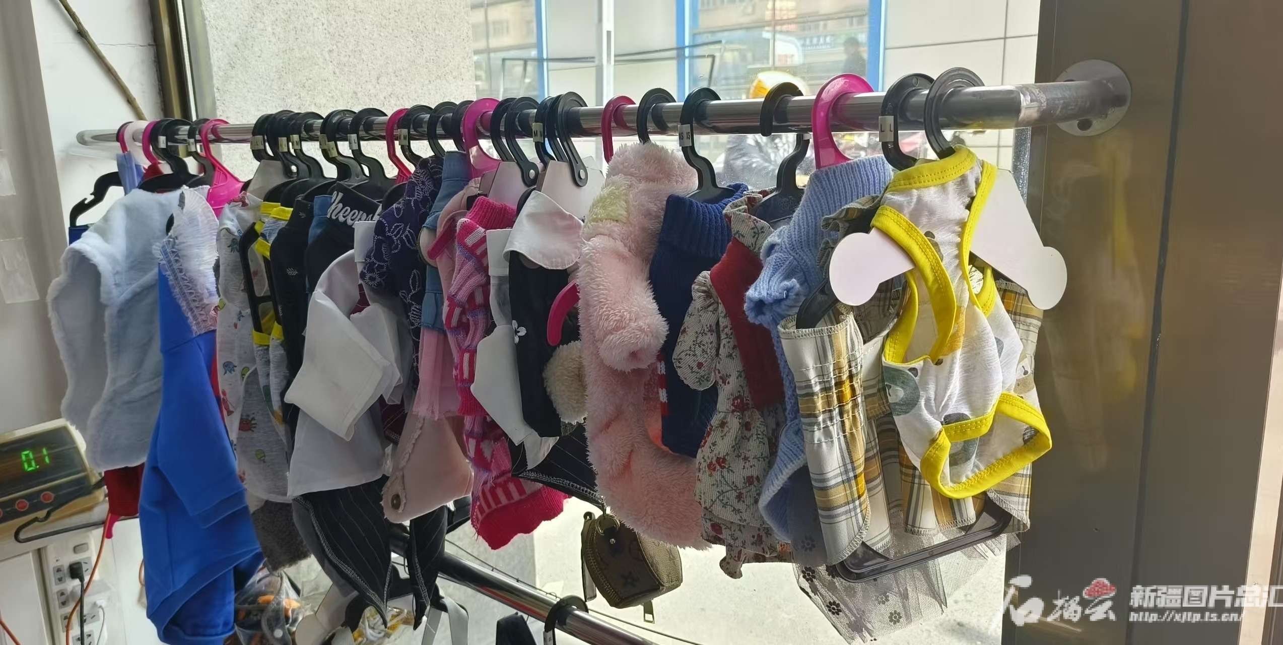 “小萌宠”撬动“大市场”乌鲁木齐宠物经济持续升温(图1)