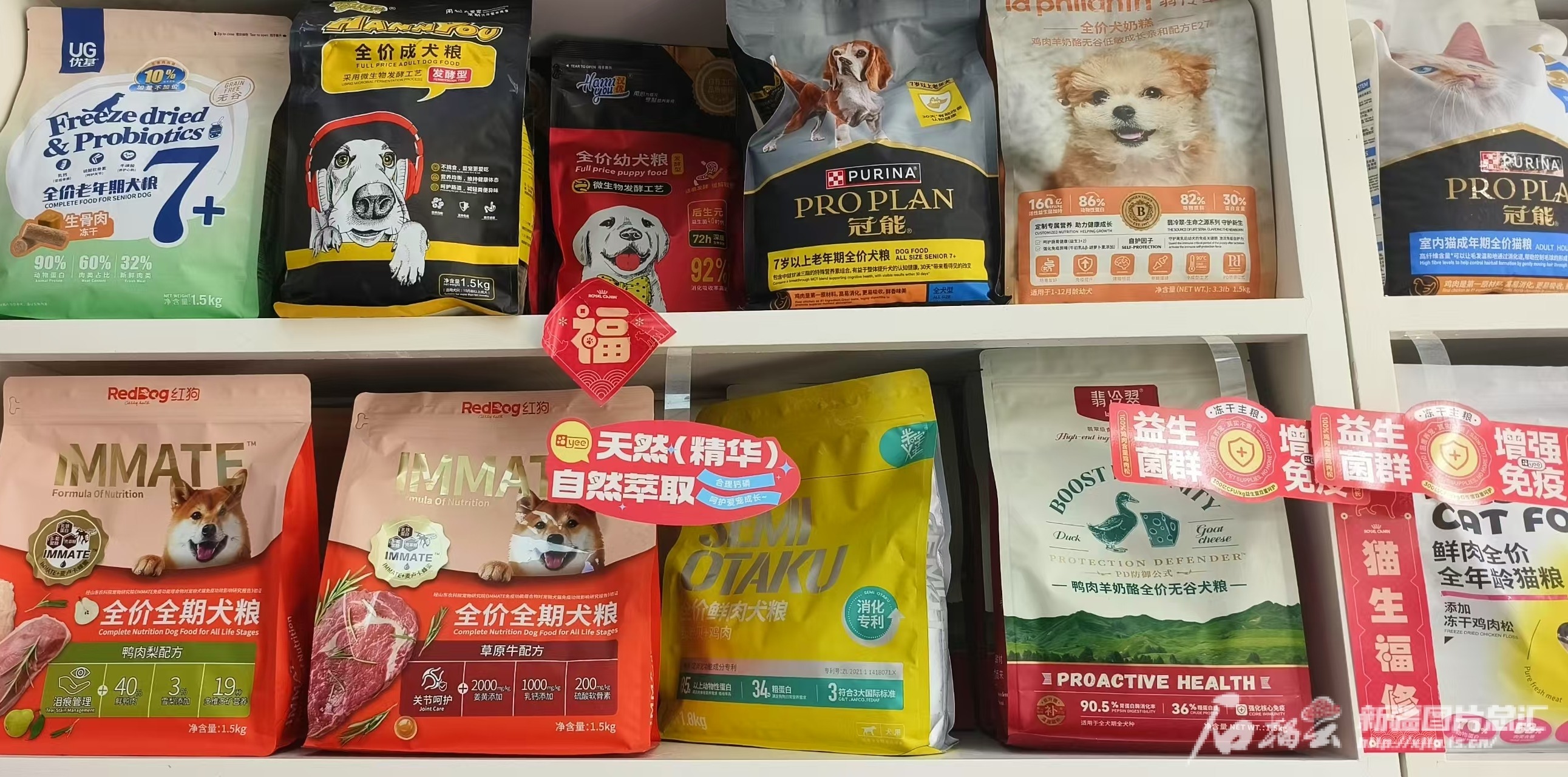 “小萌宠”撬动“大市场”乌鲁木齐宠物经济持续升温(图2)