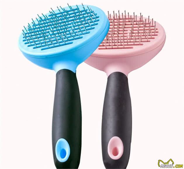 养宠物必备的四件物品看你都买好了吗？(图3)