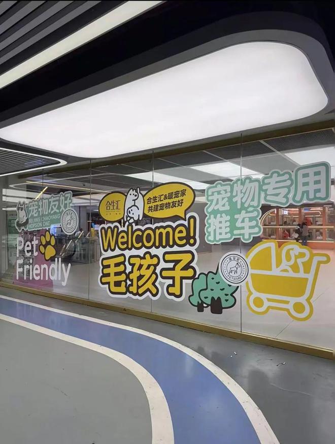 宠物服饰成为adidas最近被抢购的爆品…(图9)