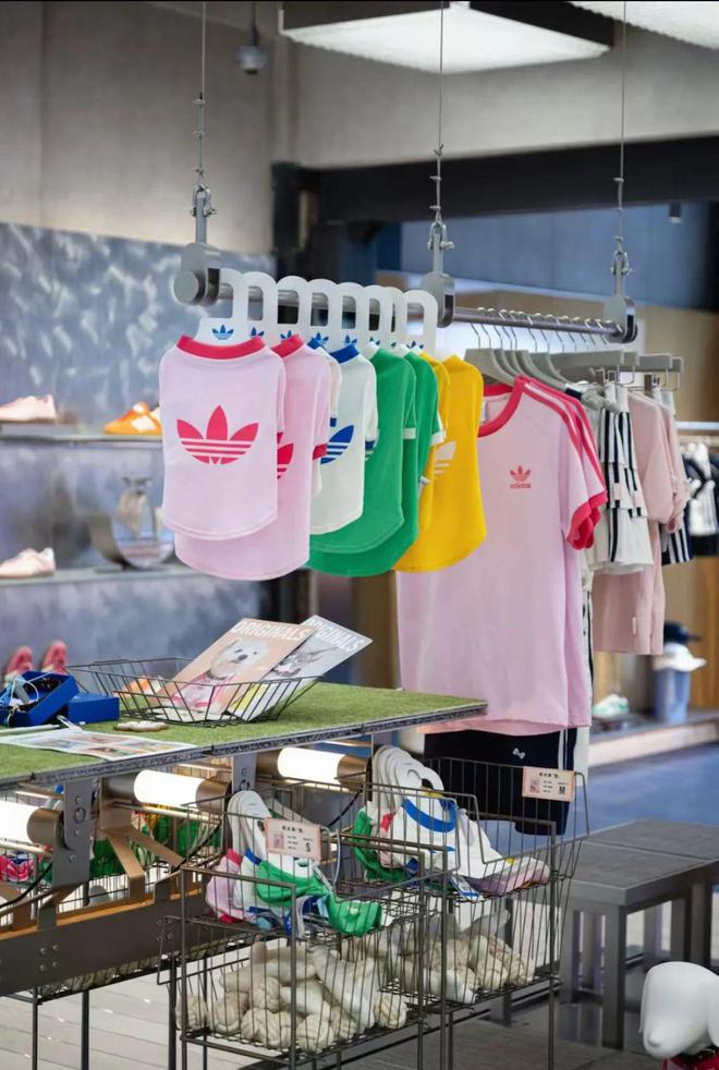 宠物服饰成为adidas最近被抢购的爆品…(图2)