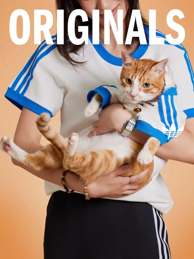 宠物服饰成为adidas最近被抢购的爆品…