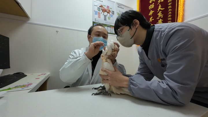 新华网辽宁频道(图1)