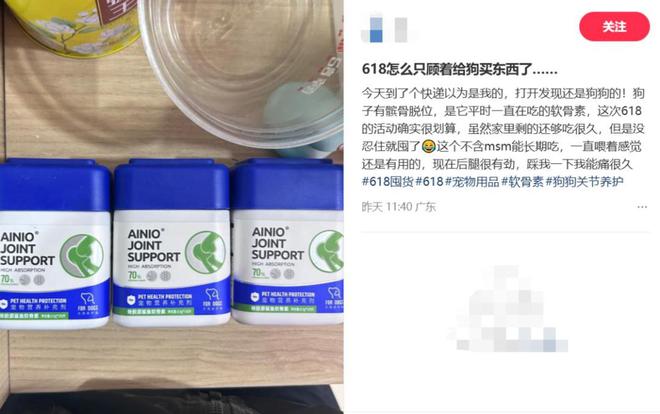 这届铲屎官每年花上万元给宠物“养生保健”
