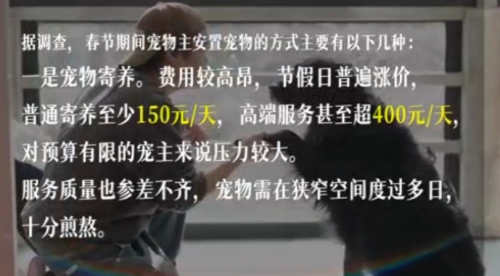 猫狗开启春运铁腚模式今年过年回家你家的猫猫狗狗打算怎么处置？(图3)