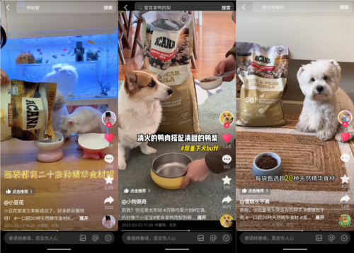 解锁萌宠经济新生态：抖音万物可爱计划如何用内容链动科学养宠新未来(图4)