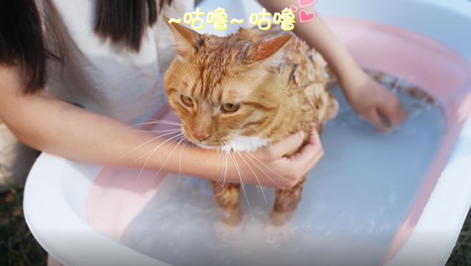 源头宠爱拥抱海尔水魔方软水机柔软舒适生活(图10)