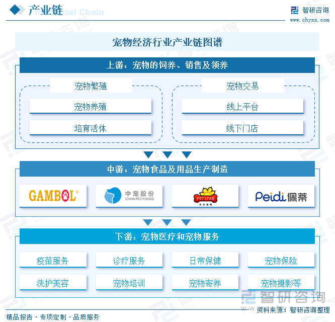 z6尊龙·凯时：趋势研判！2025年中国宠物经济行业产业链、市场规模、细分领域及未来前景分析：城镇宠物消费规模稳步增长食品市场潜力依旧[图](图2)