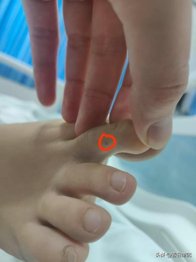 尊龙凯时网站：女游客被蛇咬身亡后续！身份信息曝光家属发声抢救后称没经验(图9)