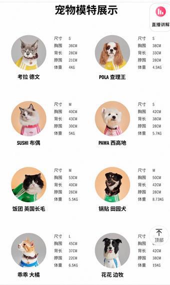 “宠物亲子装”成新时尚耐克阿迪争夺“千亿金矿”(图2)