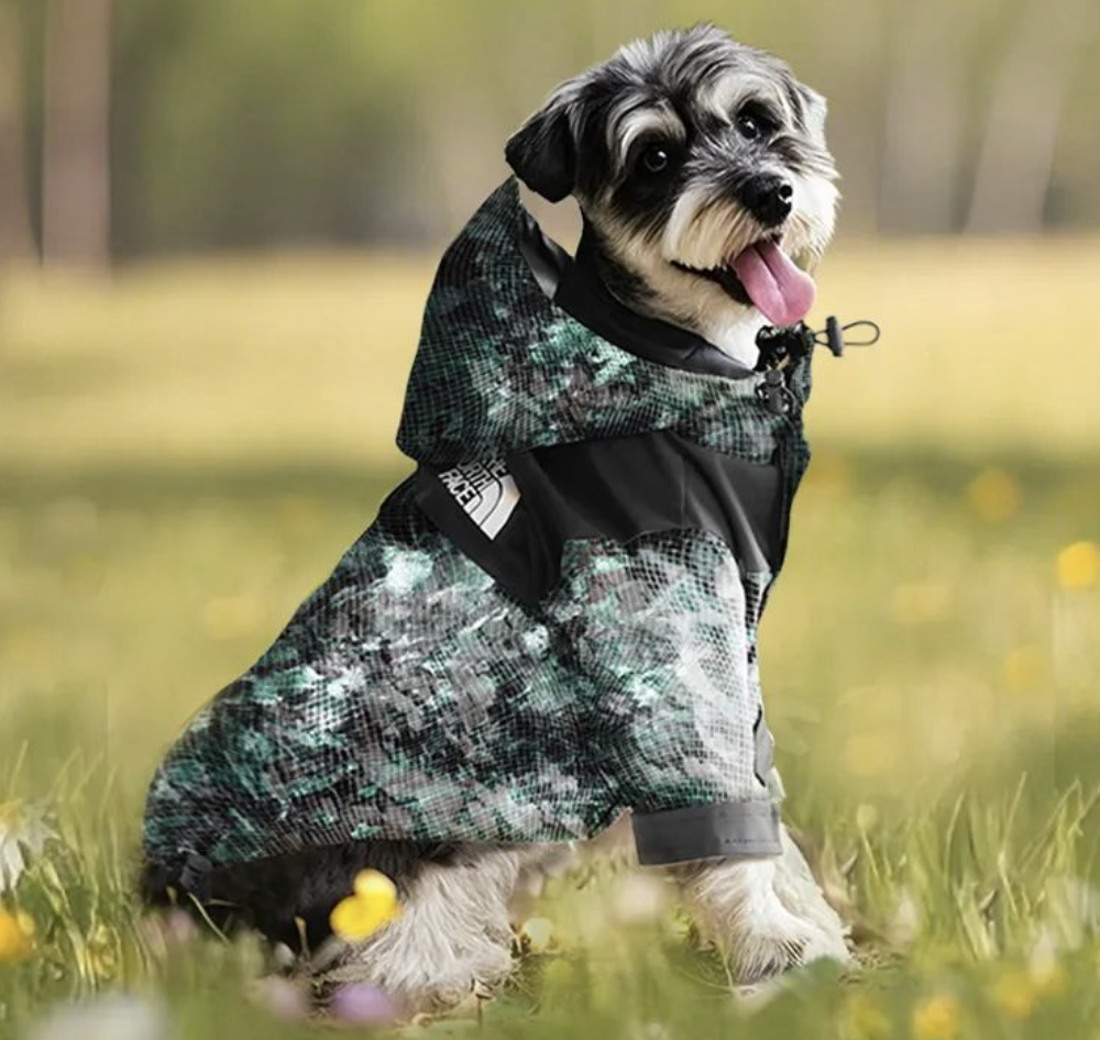 爆火的功能性宠物服饰是智商税吗？(图2)