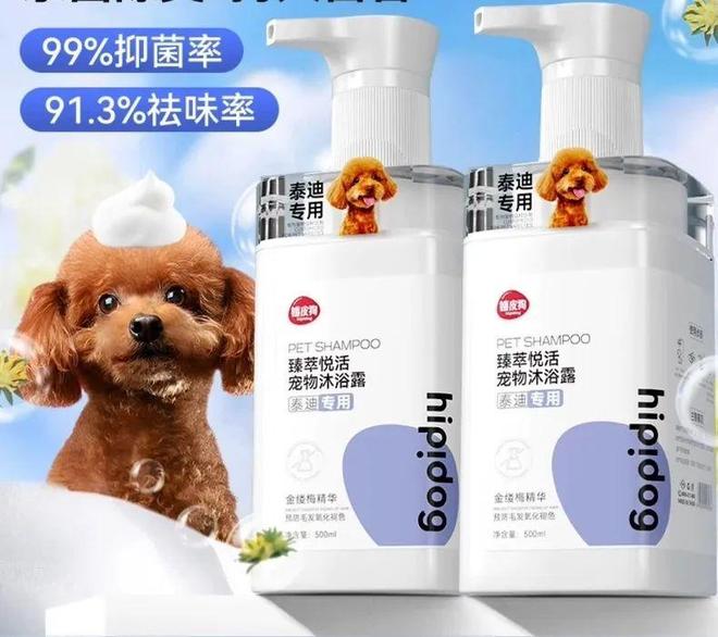 抢先看！2024年9月「宠物用品」新品趋势(图6)