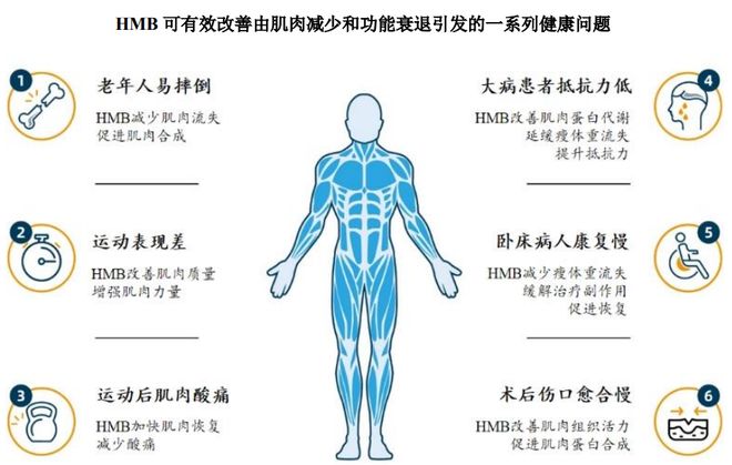 人生就是博：HMB全球龙头技源集团：扎根运动健康赛道凭多元布局赢长远未来(图2)