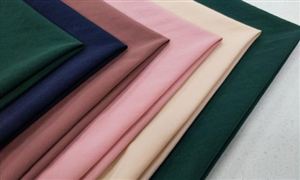 宠物服饰行业市场消费调查及未来发展机遇(图2)