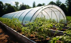 宠物服饰行业市场消费调查及未来发展机遇(图5)