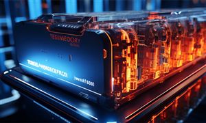 宠物服饰行业市场消费调查及未来发展机遇(图6)