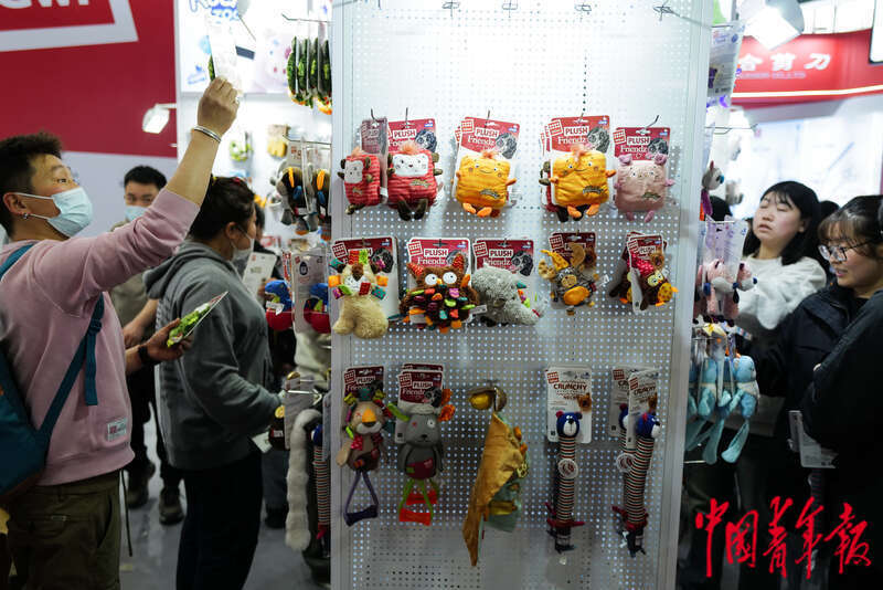 宠物时装、宠物直播、AI无创体检“它经济”持续升温(图7)