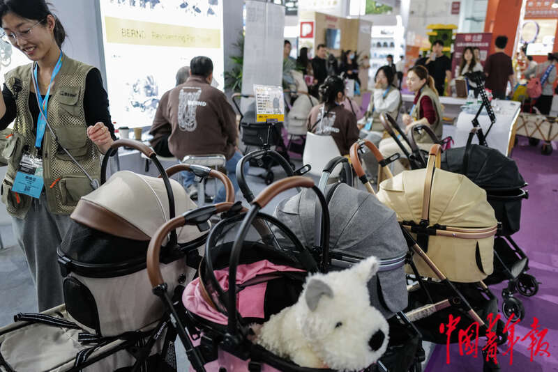 宠物时装、宠物直播、AI无创体检“它经济”持续升温(图8)