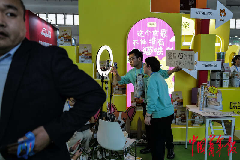宠物时装、宠物直播、AI无创体检“它经济”持续升温(图14)