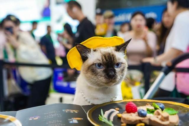 2024中国宠物市场规模预计突破3000亿元玛氏2024亚宠展上推出多元养宠体验(图2)