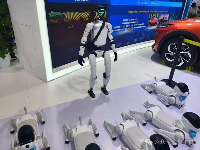 z6尊龙·凯时：一文看尽35万人围观的智博会(图11)