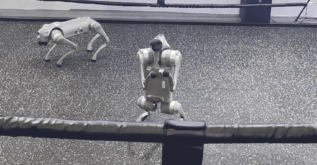 z6尊龙·凯时：一文看尽35万人围观的智博会(图26)