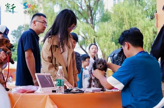 z6尊龙·凯时：“萌力”拉满宿迁“它经济”温暖升级(图3)