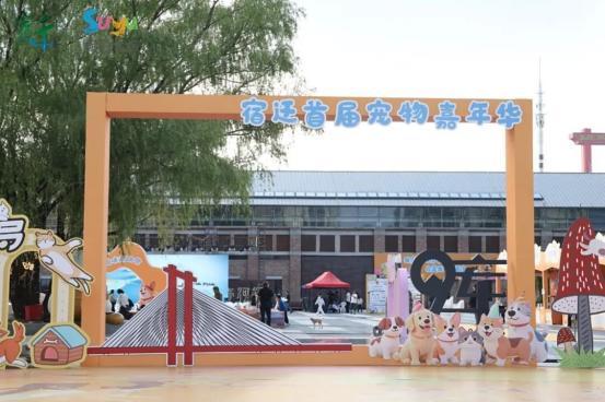 z6尊龙·凯时：“萌力”拉满宿迁“它经济”温暖升级(图1)