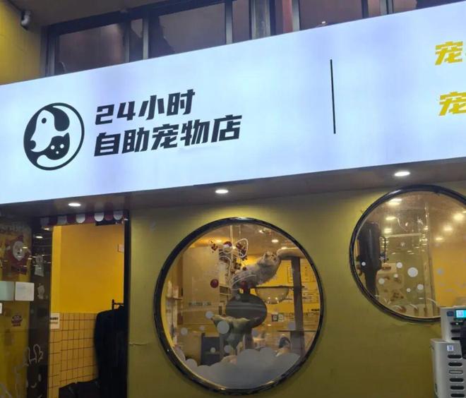 「i人经济」爆发改造七大消费场景(图5)